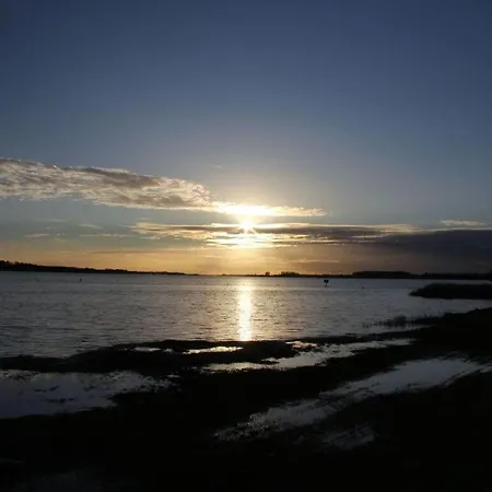 Svala Nyaraló Schönhagen