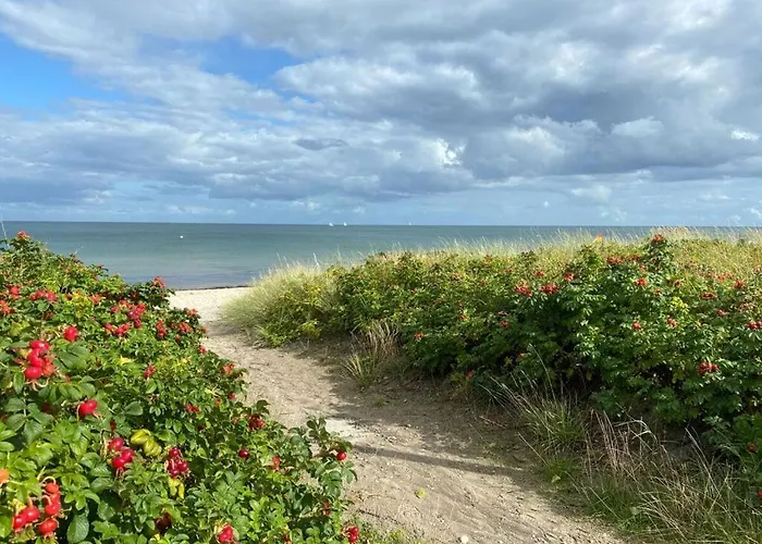 Svala Casa de Férias