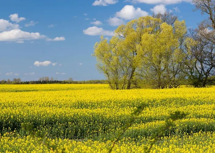 Svala Casa de Férias